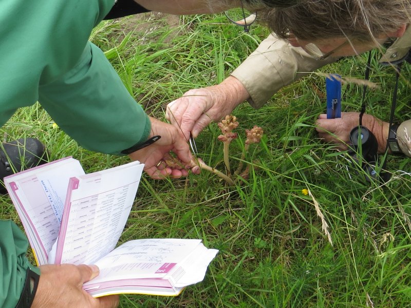Plantenwerkgroep