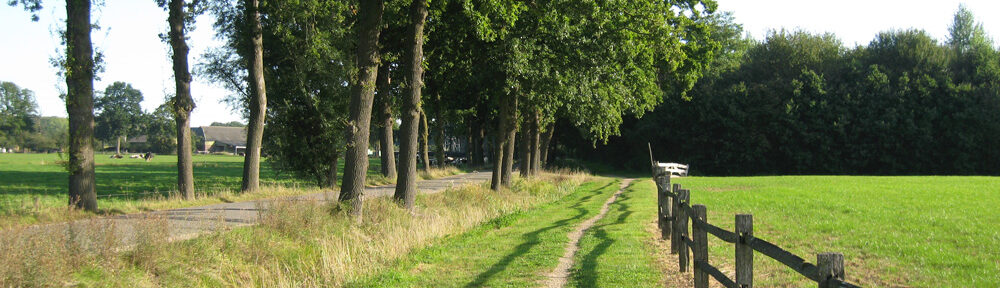 Wandeling in het Hemmense bos