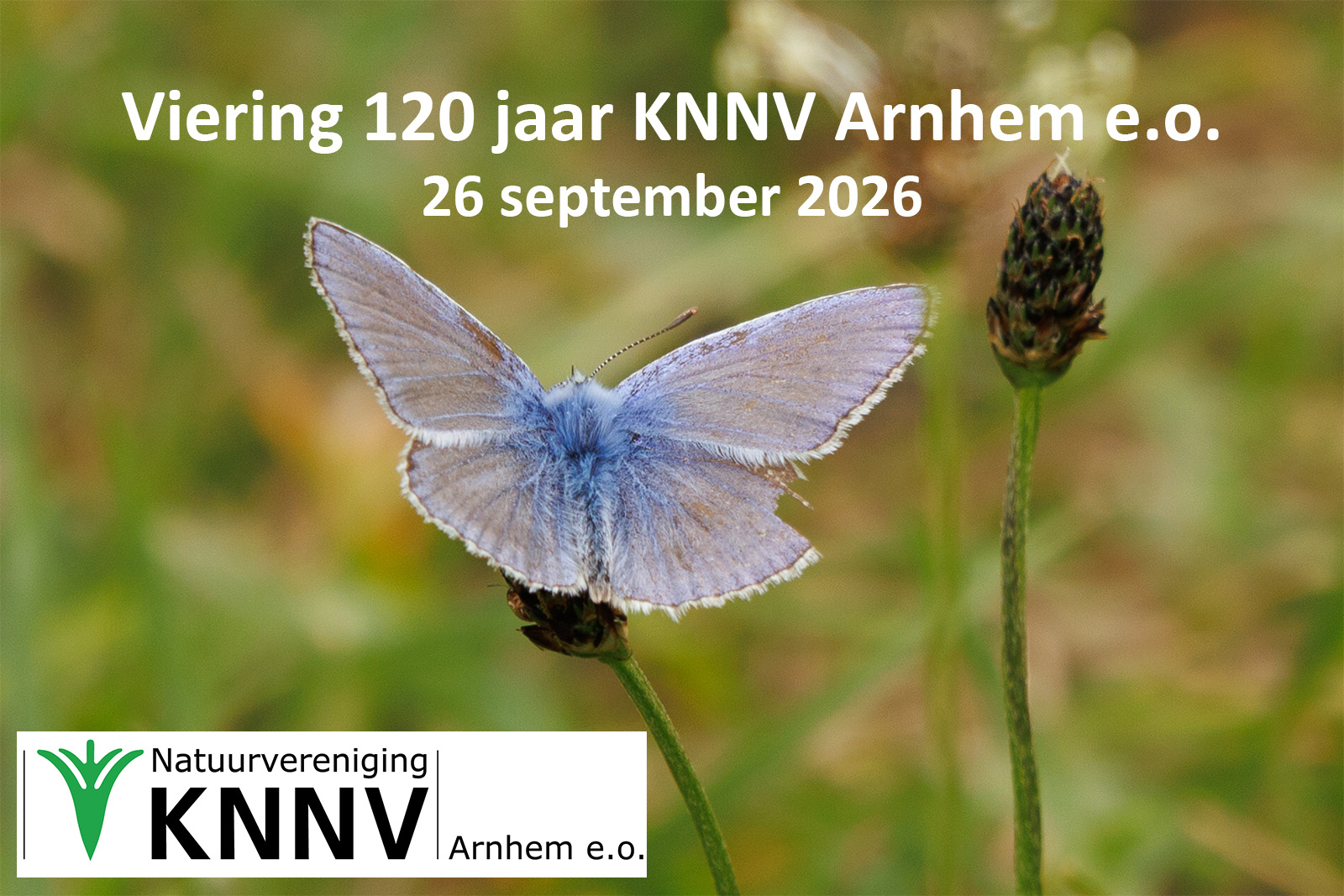 Lustrumviering: KNNV Arnhem e.o. 120 jaar