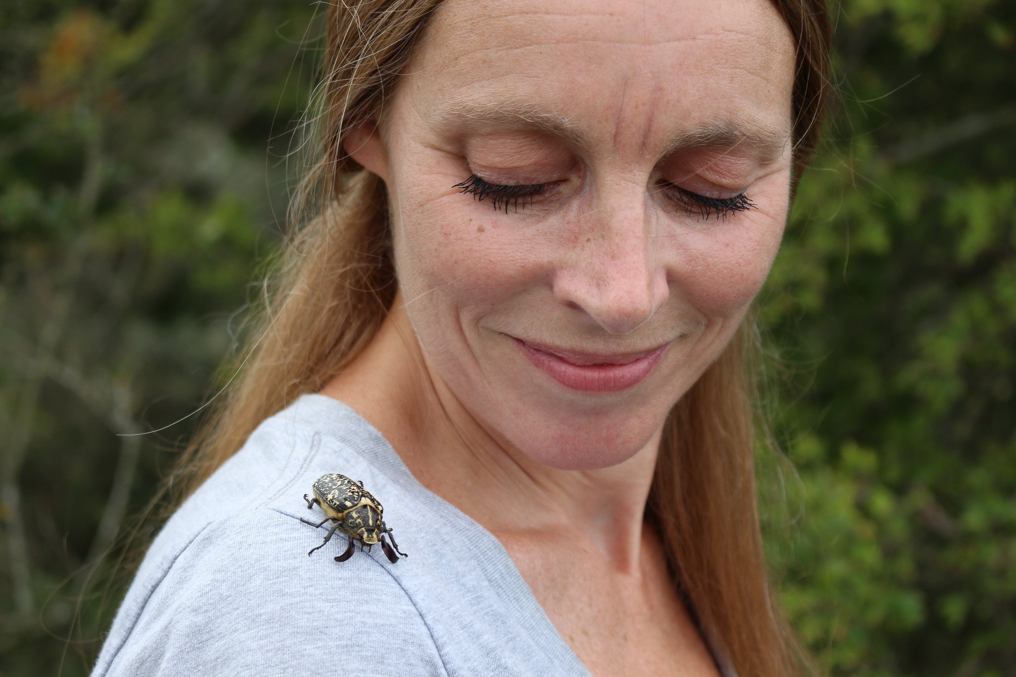 Lezing: Alles over (en) voor insecten, door Aglaia Bouma
