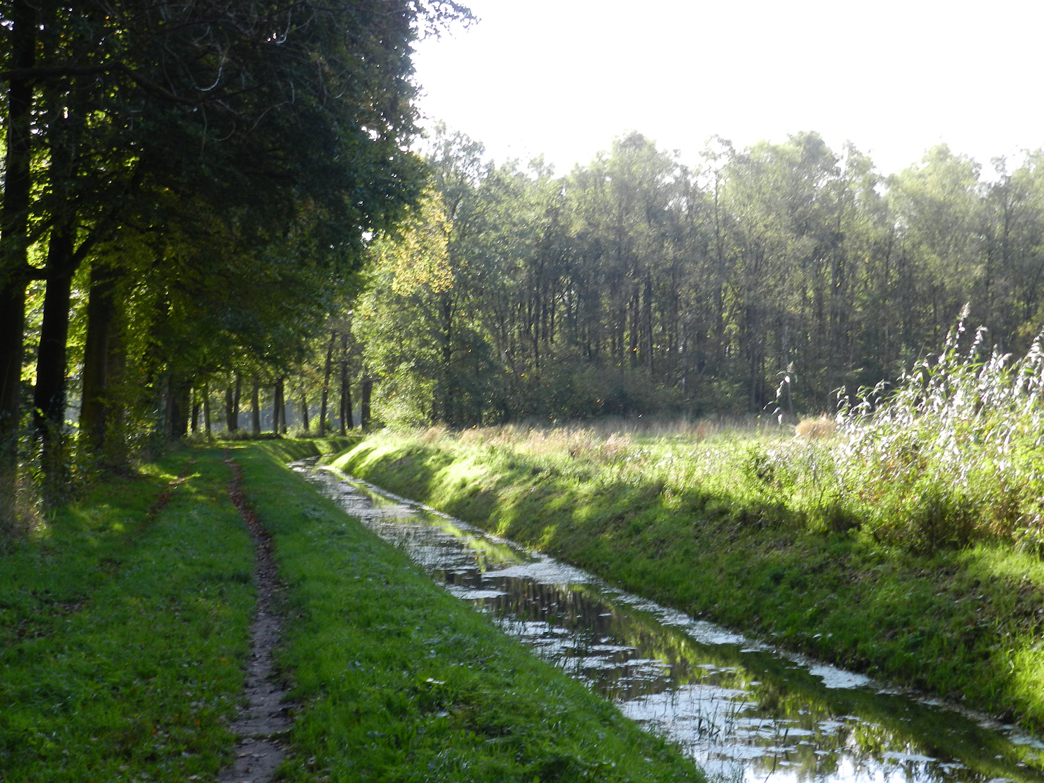 Landgoed Lichtenbelt bij Leuvenheim.
