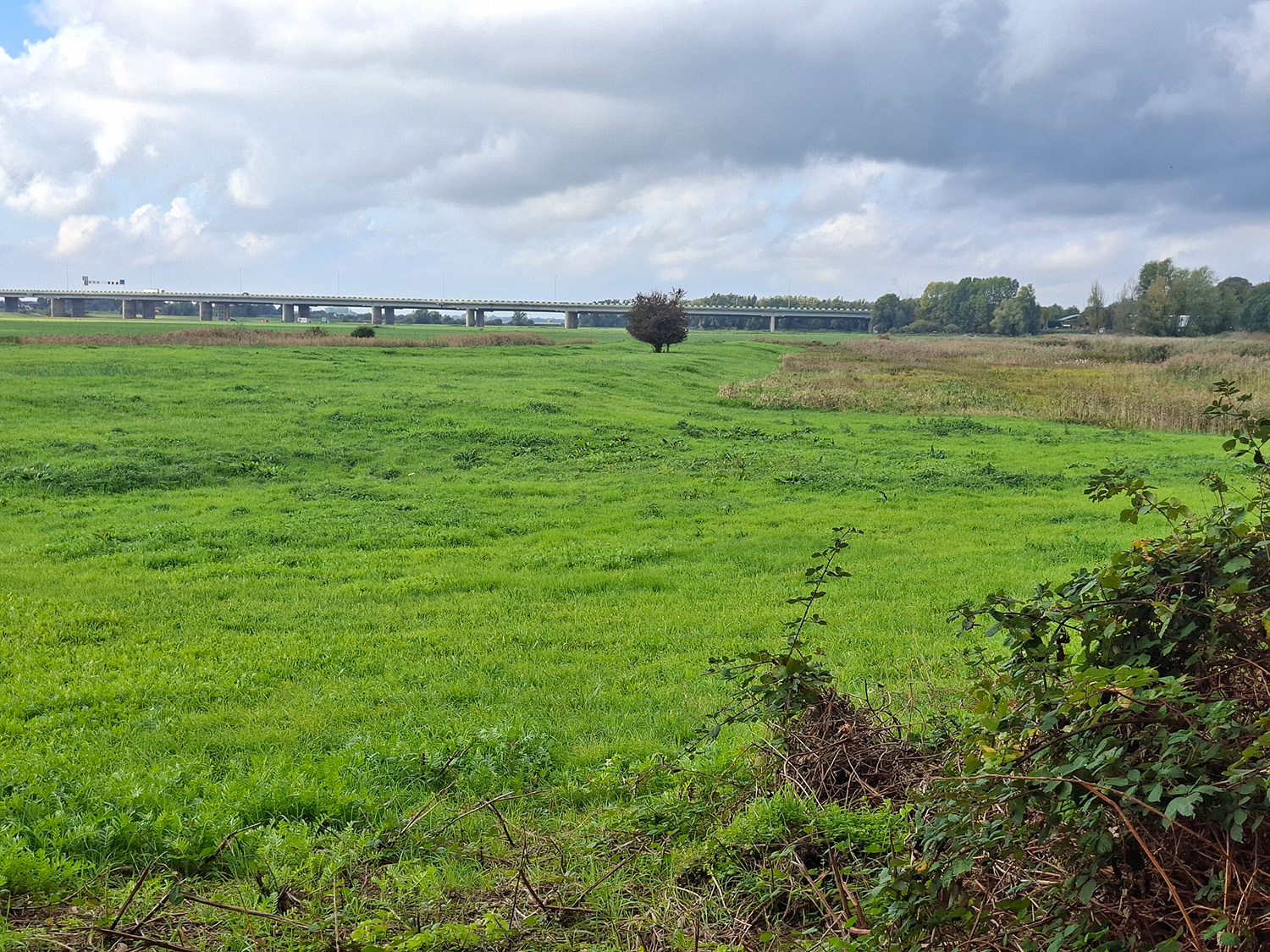 Uiterwaarden van Nederrijn bij kasteel Doorwerth