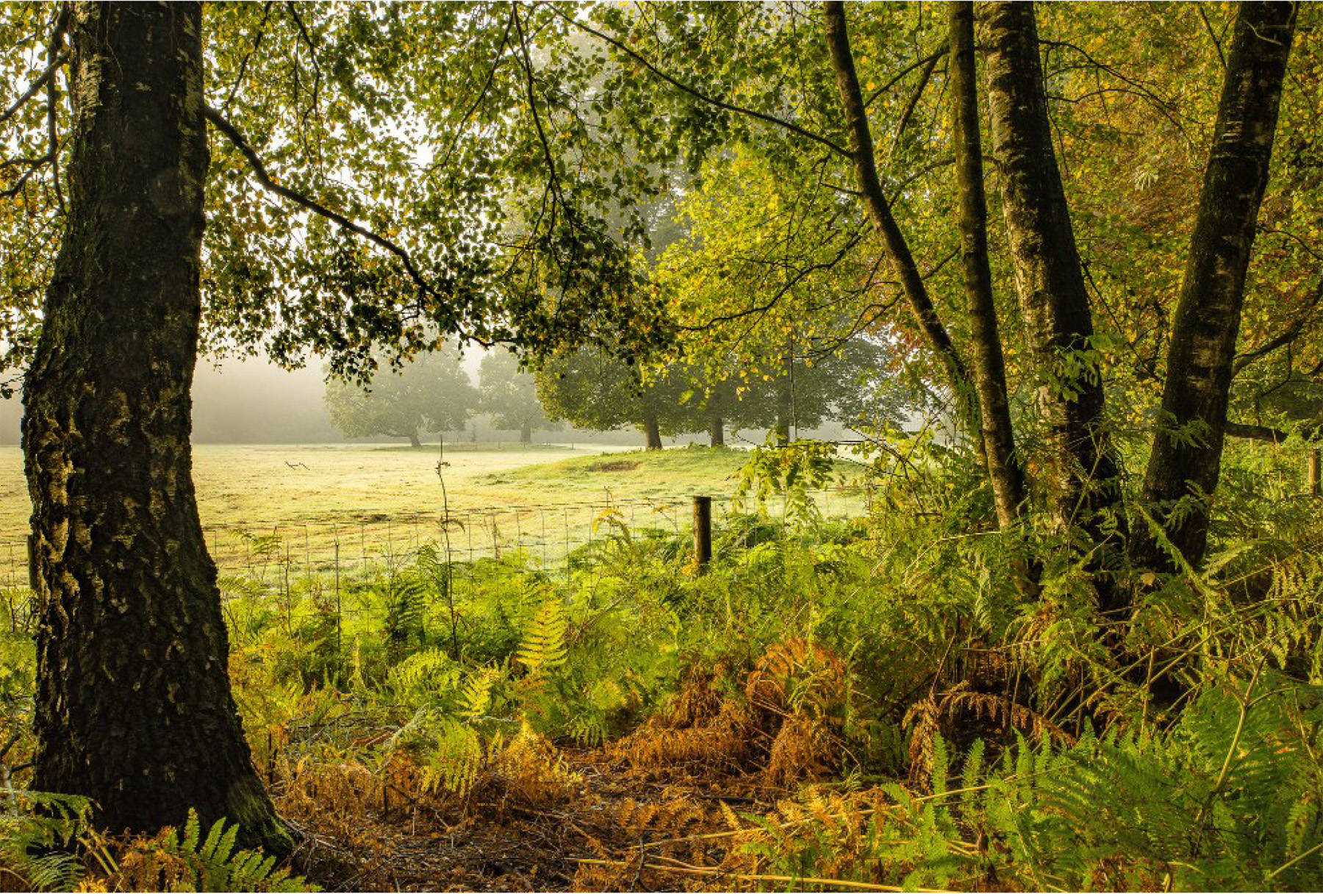 Landgoed Bingerden